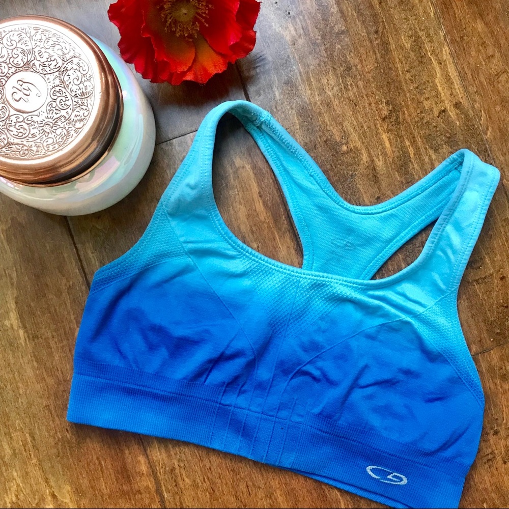 ✅ Ombré 💙 stretchy champion sports bra